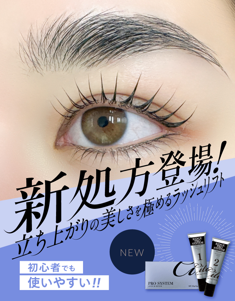 リッジプロシステム