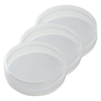 【Foula】プラスチック容器 (円形) 3個