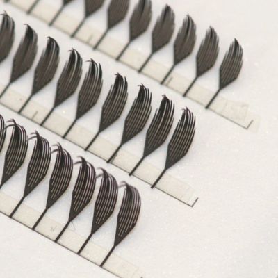 プリメイドラッシュブラックフェザートライアル Aタイプ