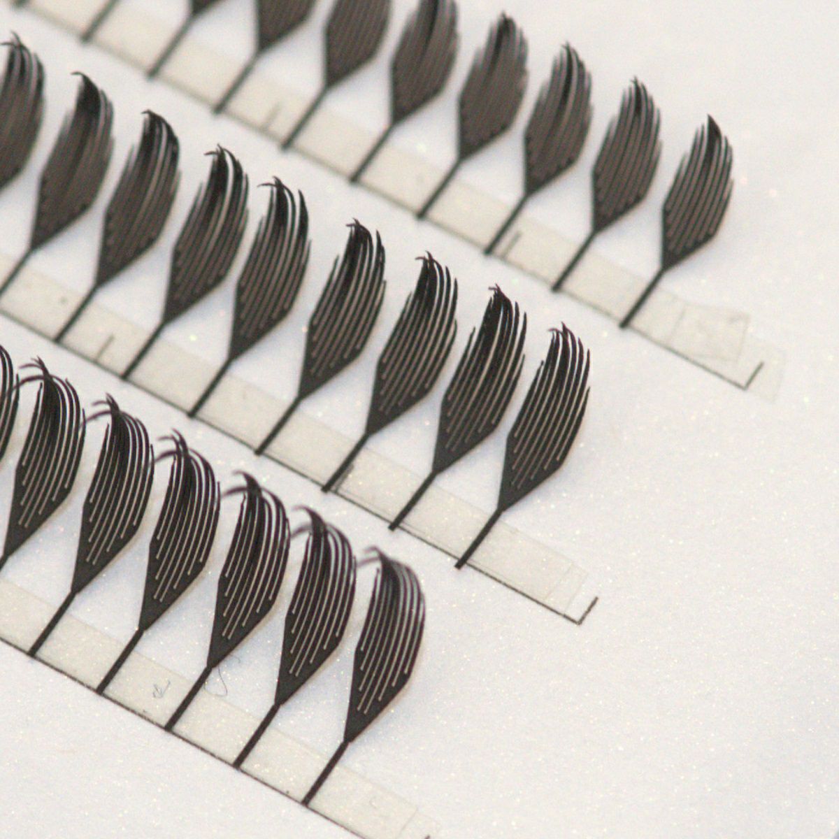 プリメイドラッシュブラックフェザートライアル Aタイプ