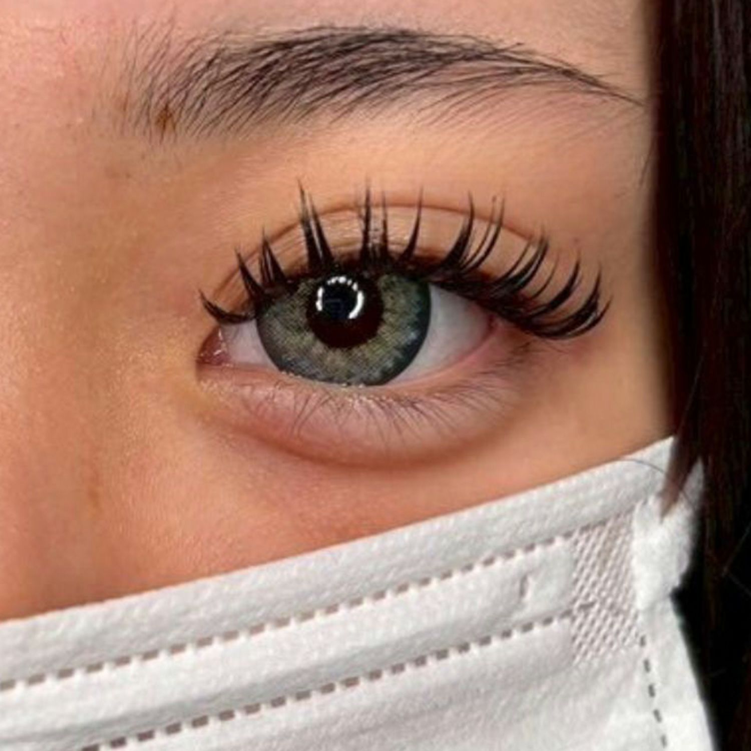 プリメイドラッシュブラックフェザートライアル Aタイプ