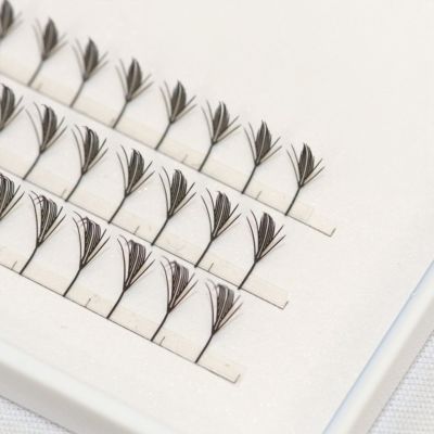 プリメイドラッシュブラックフェザートライアル Bタイプ