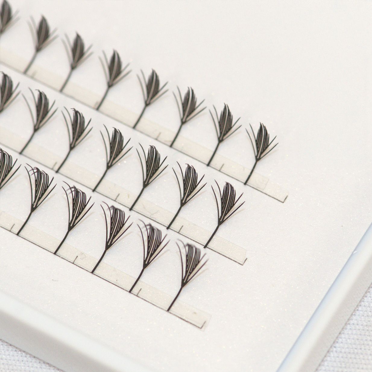 プリメイドラッシュブラックフェザートライアル Bタイプ