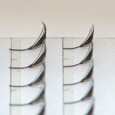 プリメイドラッシュブラックフェザートライアル Bタイプ