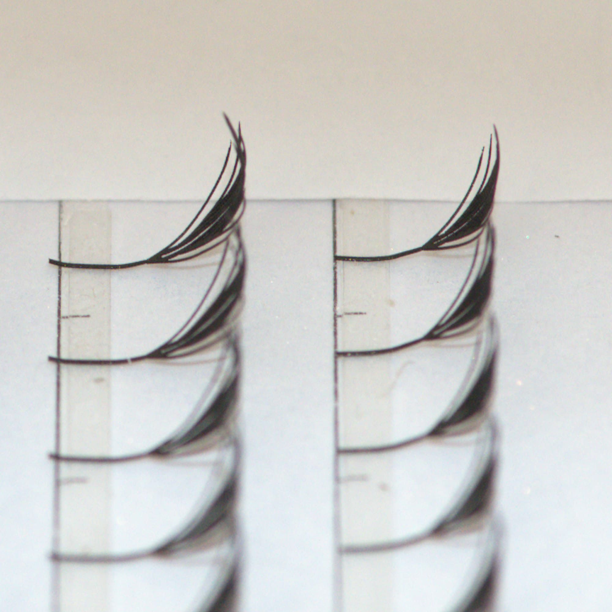 プリメイドラッシュブラックフェザートライアル Bタイプ